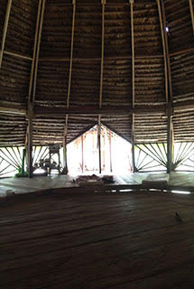 the-ayahuasca-retreat